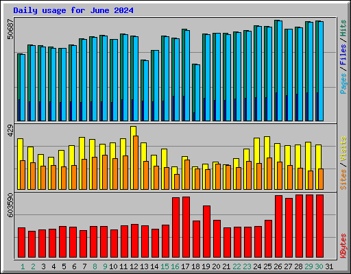 Daily usage for June 2024