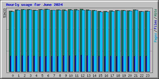 Hourly usage for June 2024