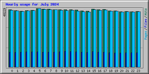 Hourly usage for July 2024